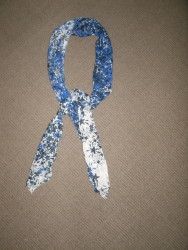 Shades of Blue Scarf
